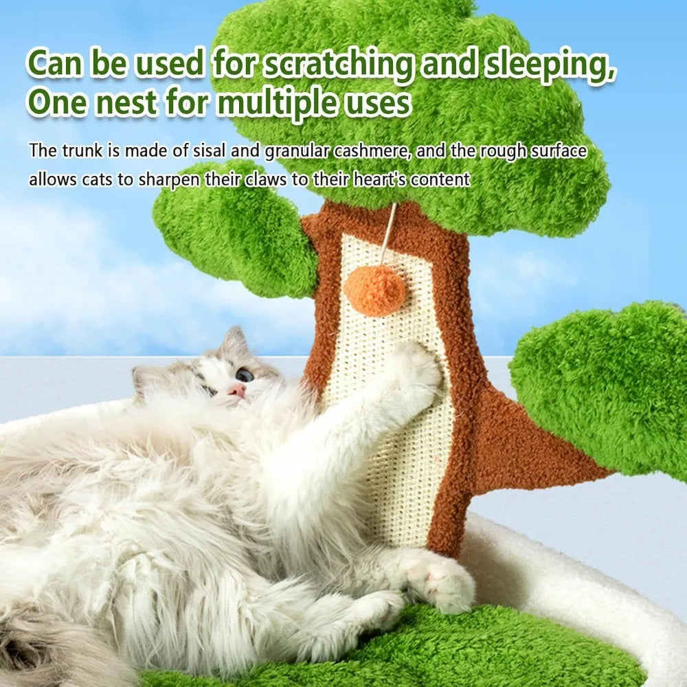 Cat Scratching Post with Bed.