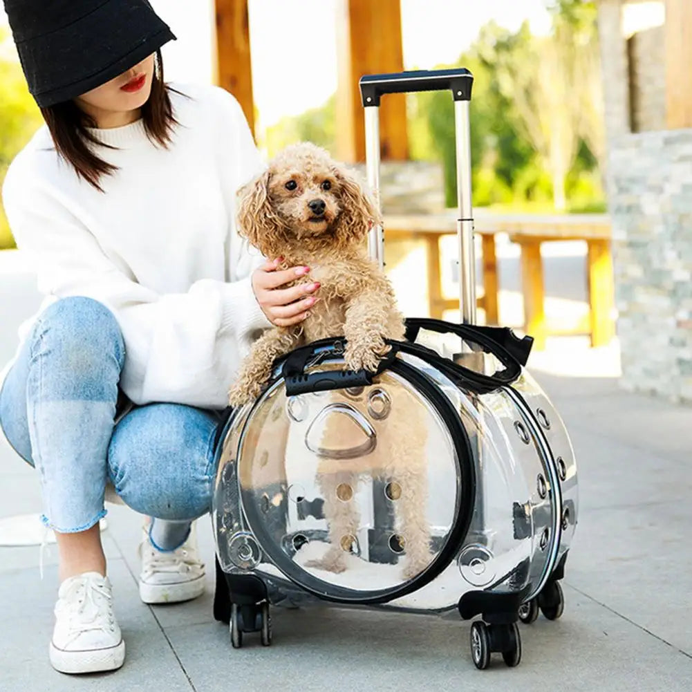 Pet Trolley Case.