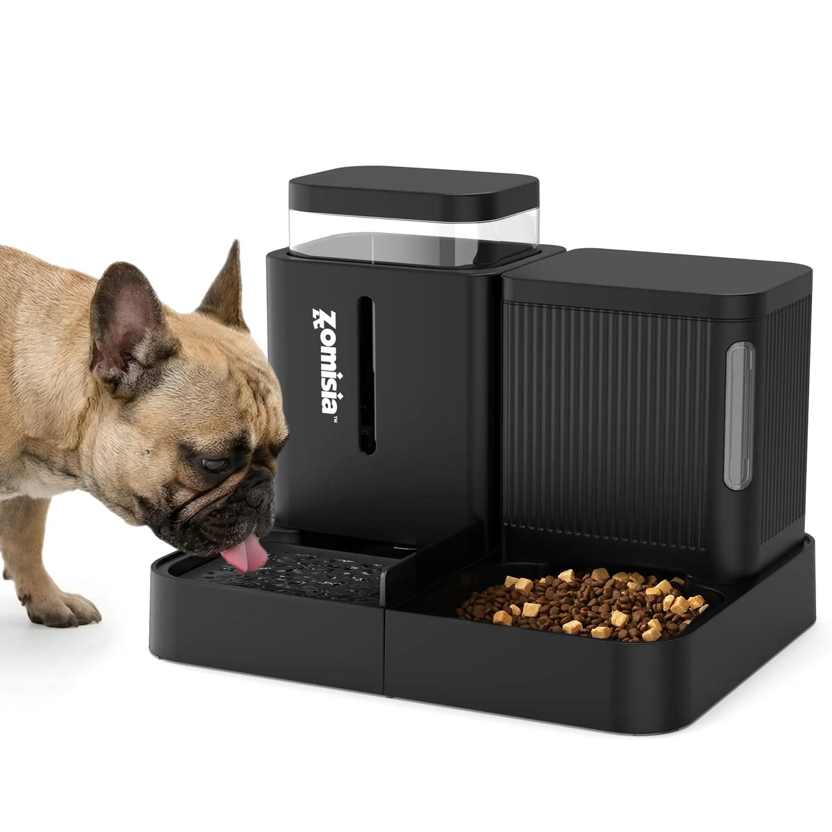 Automatic Cat Feeder.