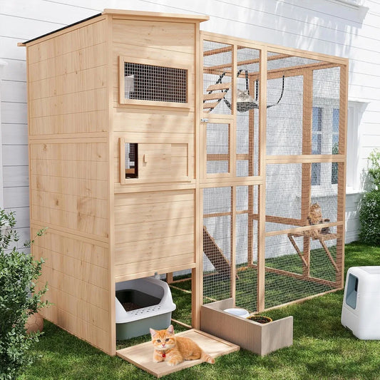 Outdoor Cat Enclosure.