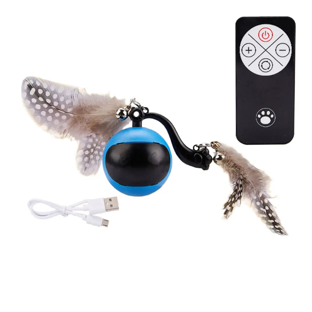 Cat Interactive Ball.